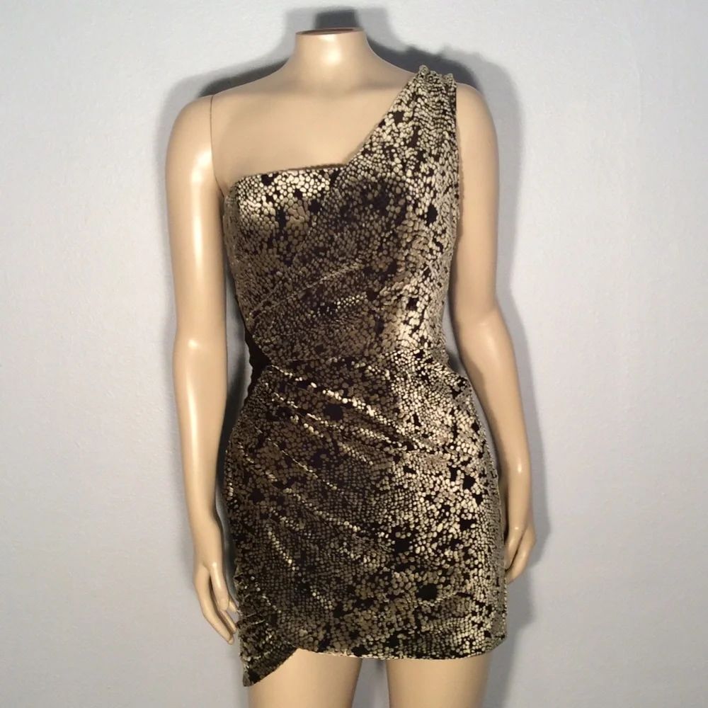 * Silence + Noise dress